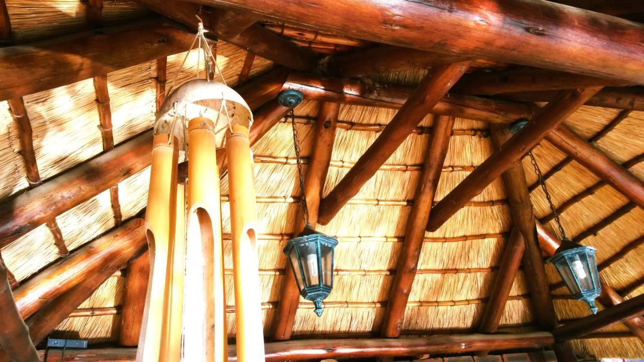 Old Mill Guest House Durban Kültér fotó
