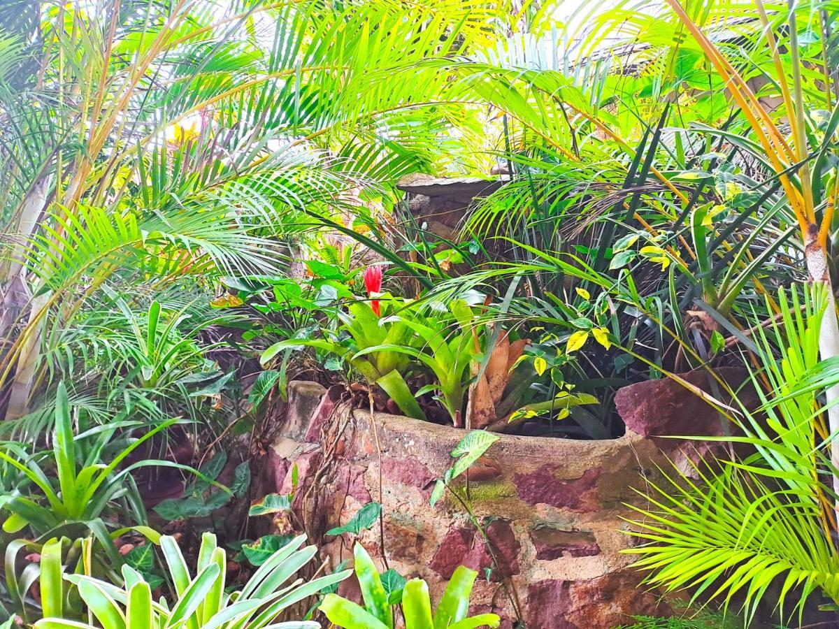 Old Mill Guest House Durban Kültér fotó